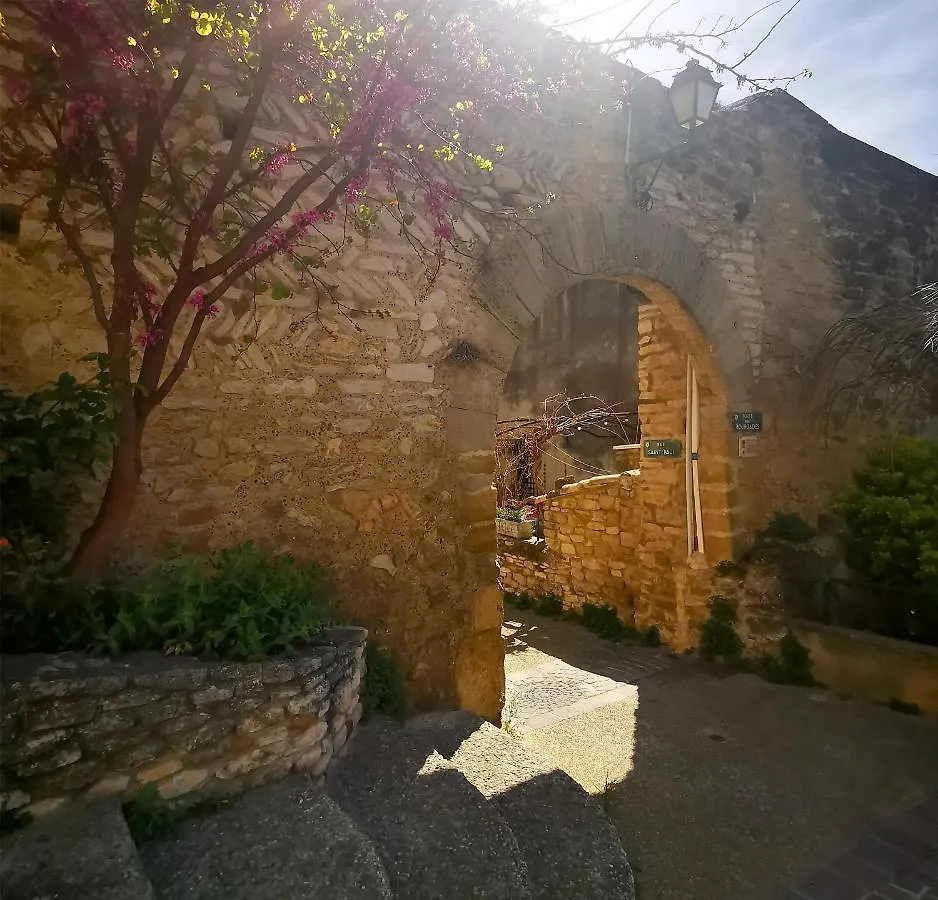 Le Petit Chateau Chateauneuf-de-Gadagne