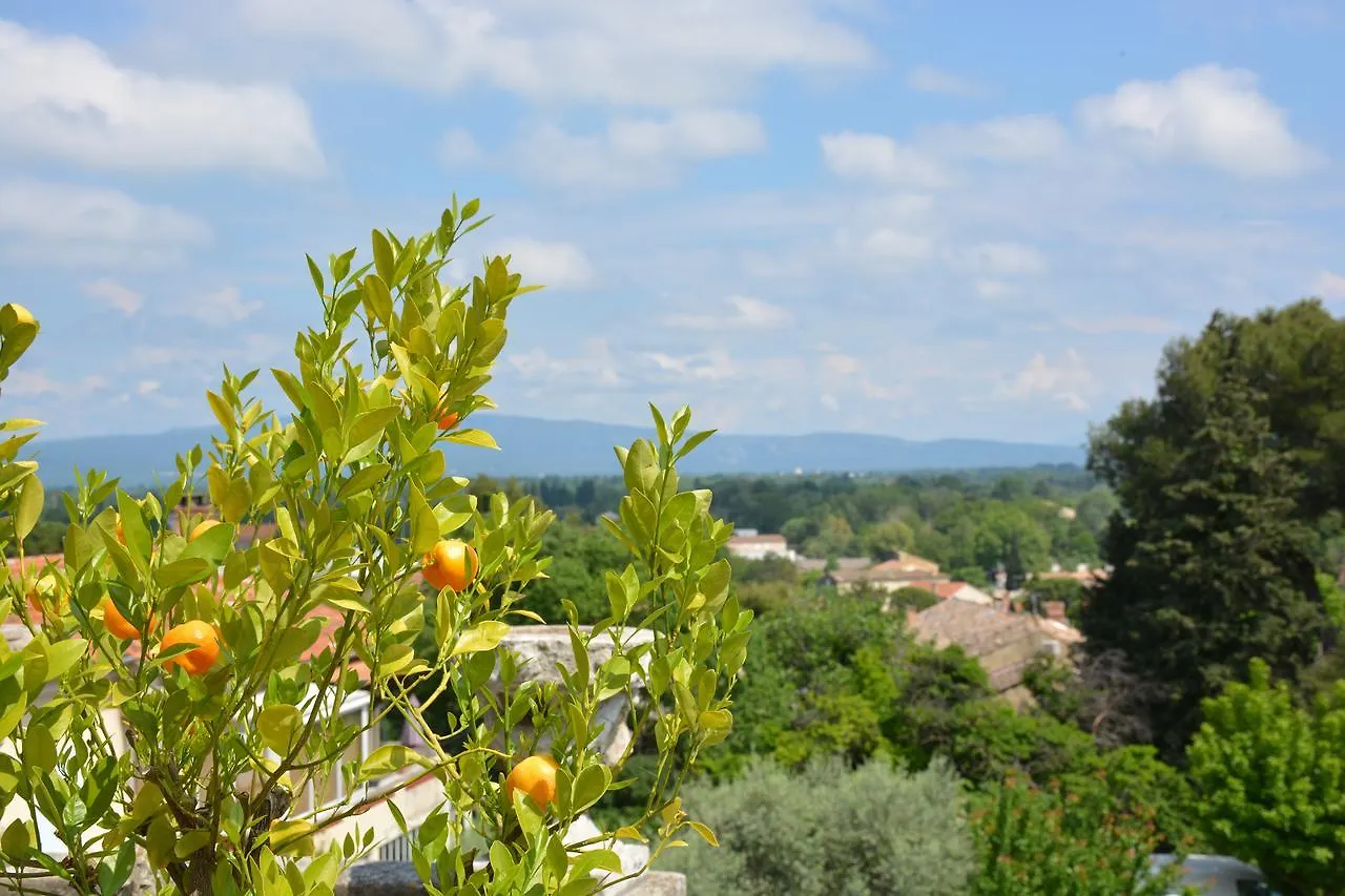 Bed & Breakfast Le Petit Chateau Chateauneuf-de-Gadagne